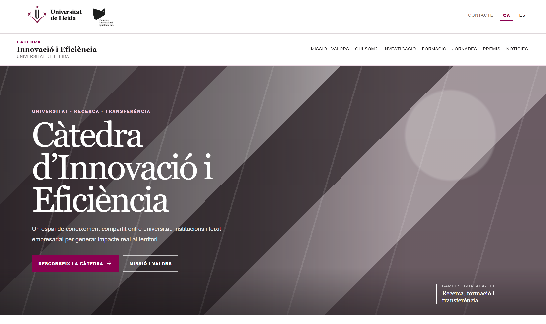 Captura de pantalla de la web de la Càtedra UdL